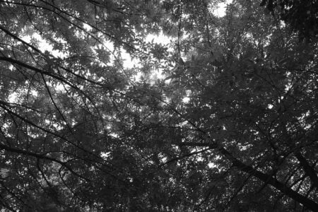 TREINTAMIL 028