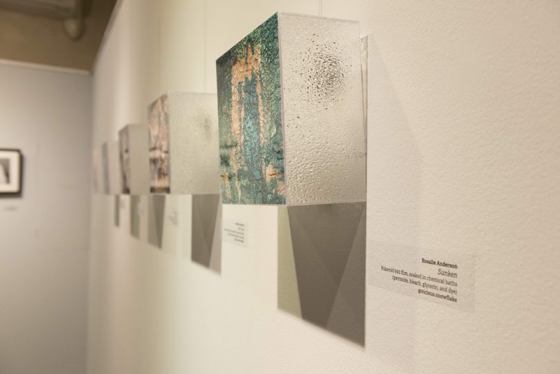 "Los artistas de Tucumán somos una máquina sensible de generar ideas de mundo" 6 Obra Rosalie Anderson Foto Alex Florez..
