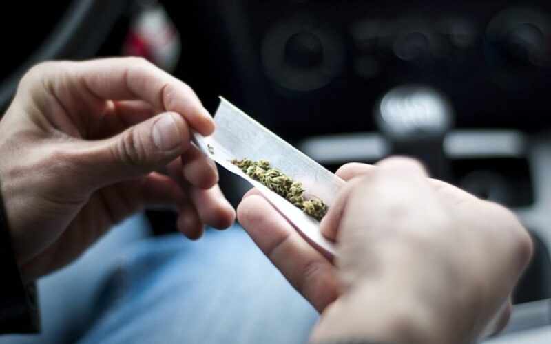 Cannabis scaled