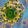 coronavirus scaled