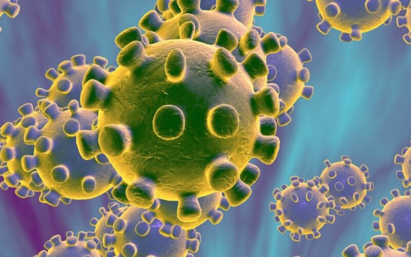 coronavirus scaled