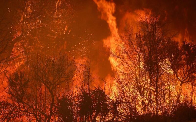 incendio1 1598262148 1598266773