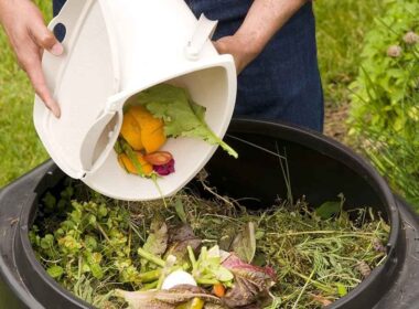reducir los residuos en Compost q