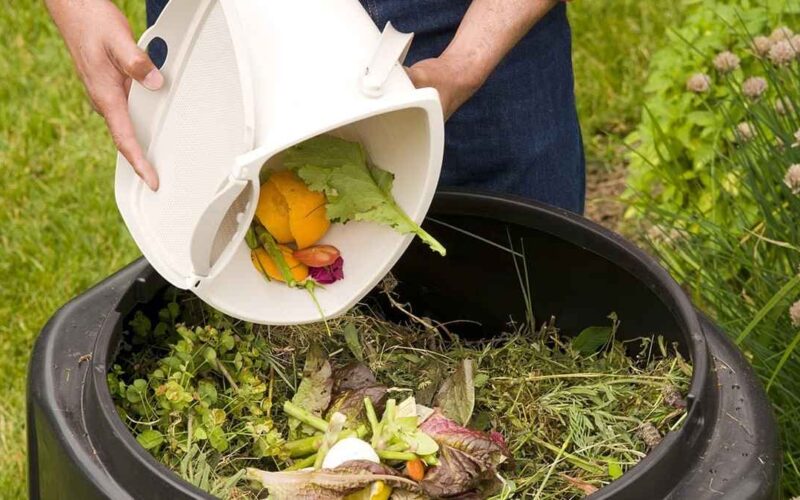 reducir los residuos en Compost q