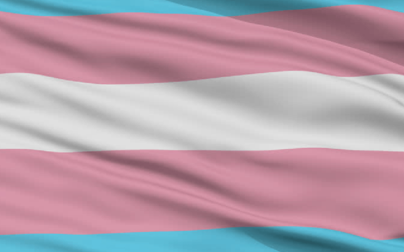 Trans Flag 01