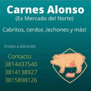 161063312 444131603475849 4186836888247831777 n
