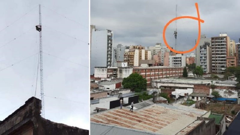 Piden justicia por Enzo Orellana, el obrero que murió al caer 30 metros desde una antena 6 arton191241