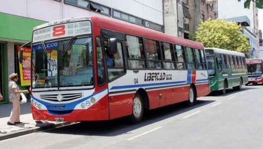 colectivo18