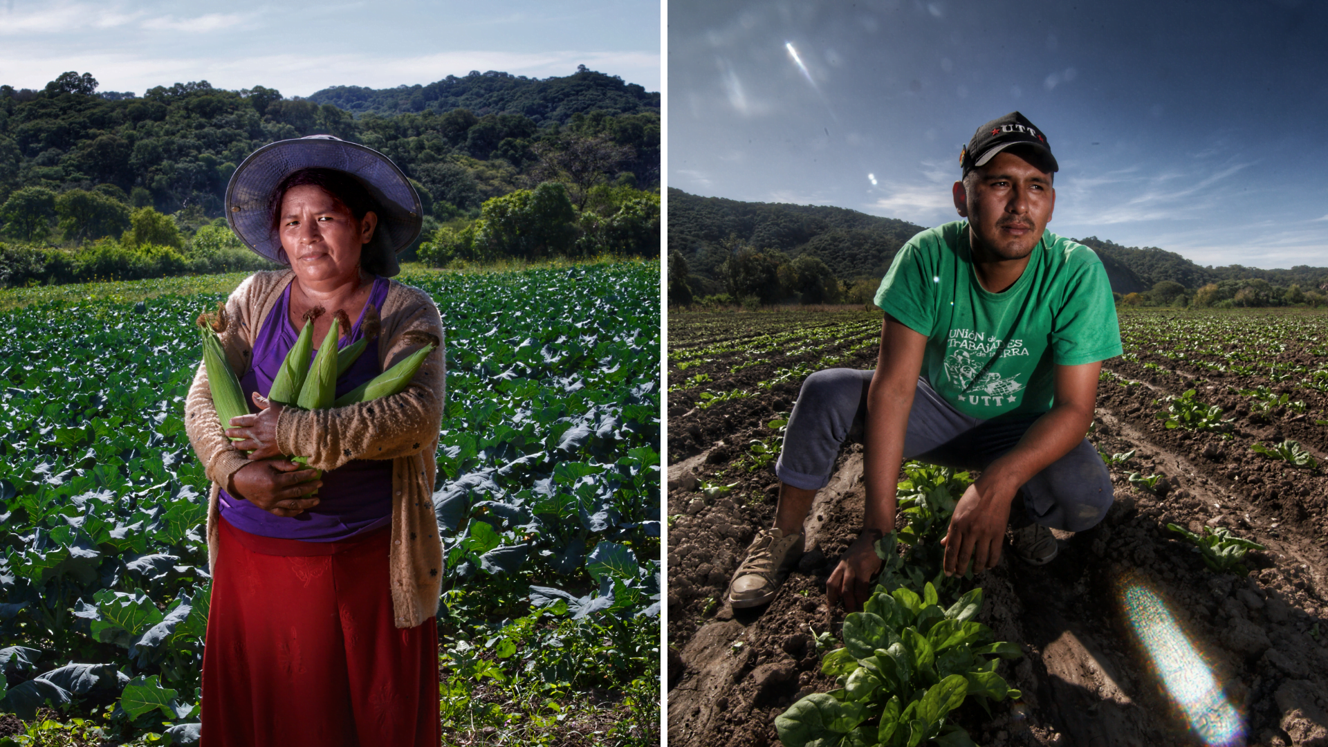 Trabajadores de la Tierra en el campo en Tucumán