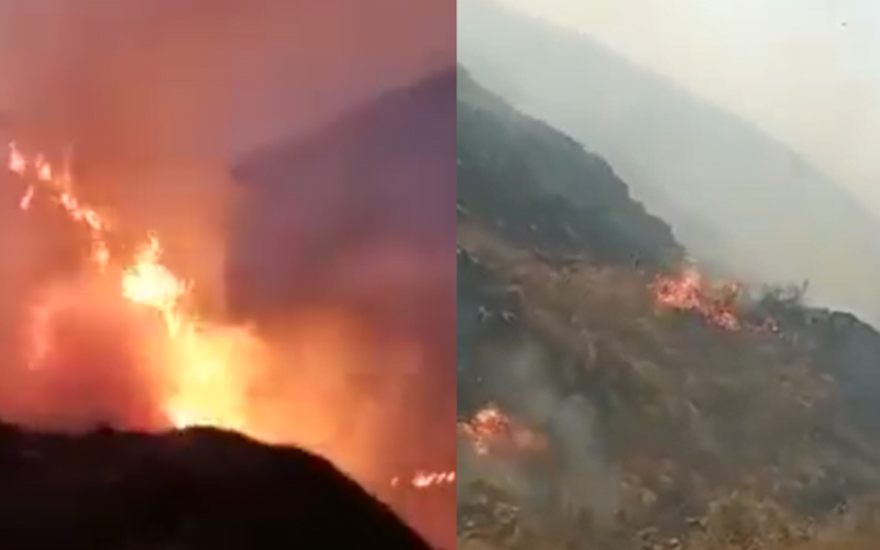 Incendios Forestales en Tucumanos