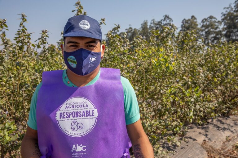 Cuando la ayuda familiar se convierte en trabajo infantil