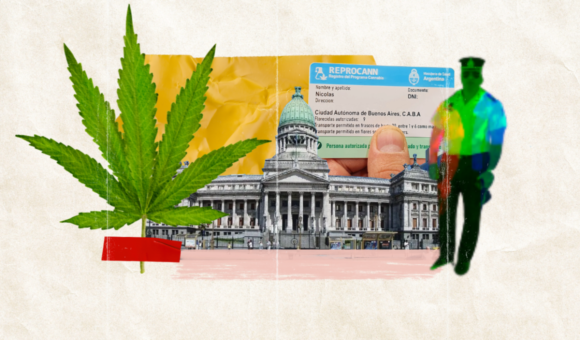 Consumo Cannabis Reprocann