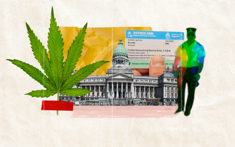 Consumo Cannabis Reprocann