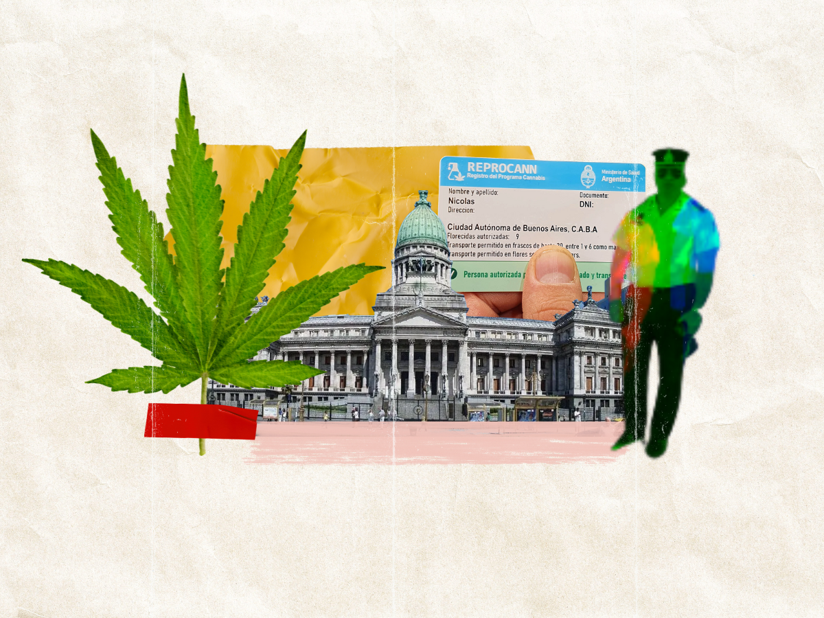 Consumo Cannabis Reprocann