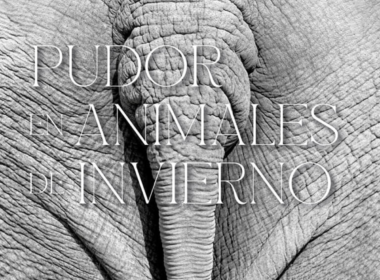 Portada 1200 × 900 px 13