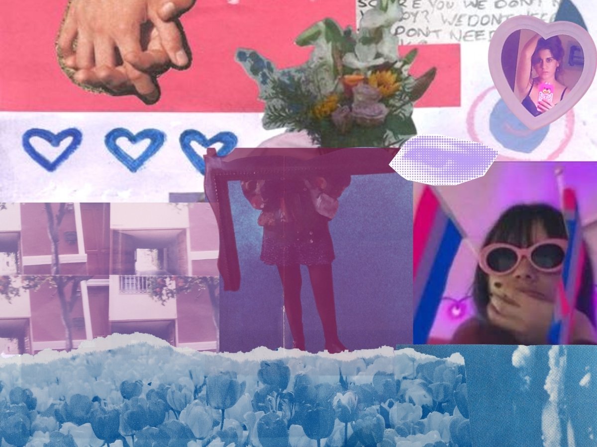 Collage bisexual