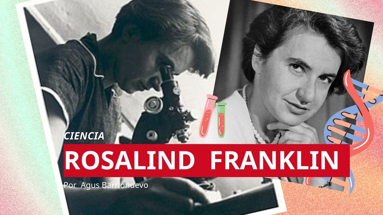 rosalind franklin
