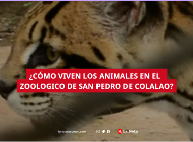 Zoologico de San Pedro de Colalao