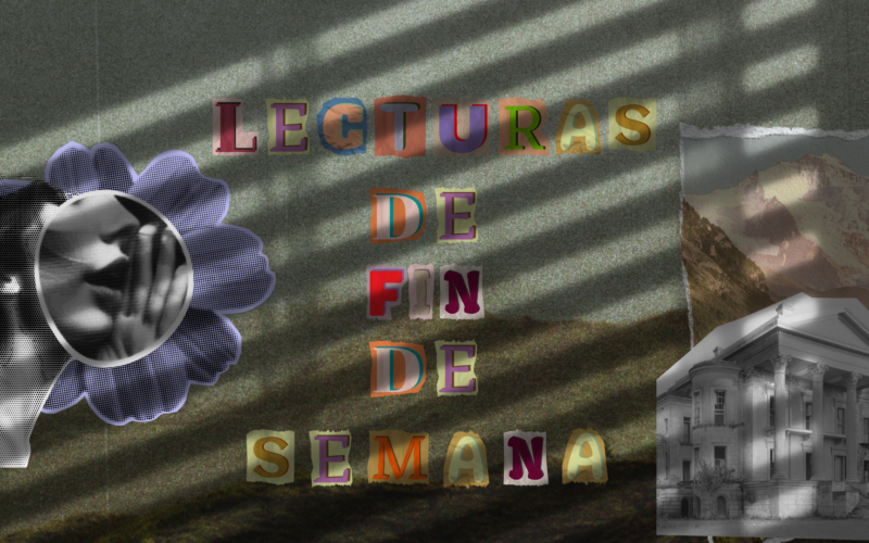 PORTADA 13