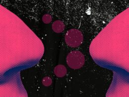 PORTADA 3