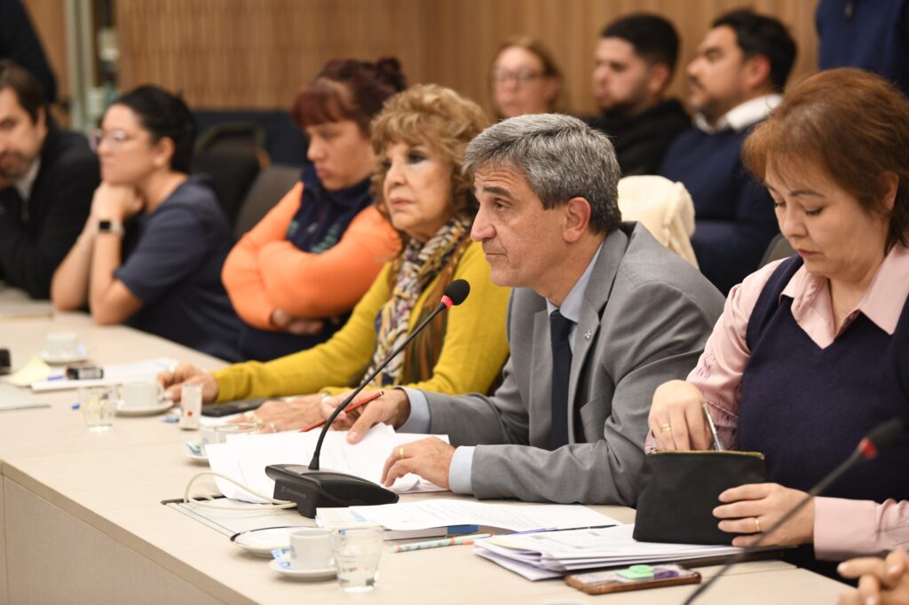 Avanza en el Congreso la ley de Emergencia Sanitaria pediátrica y de residencias 6 webgarrahan03062025a