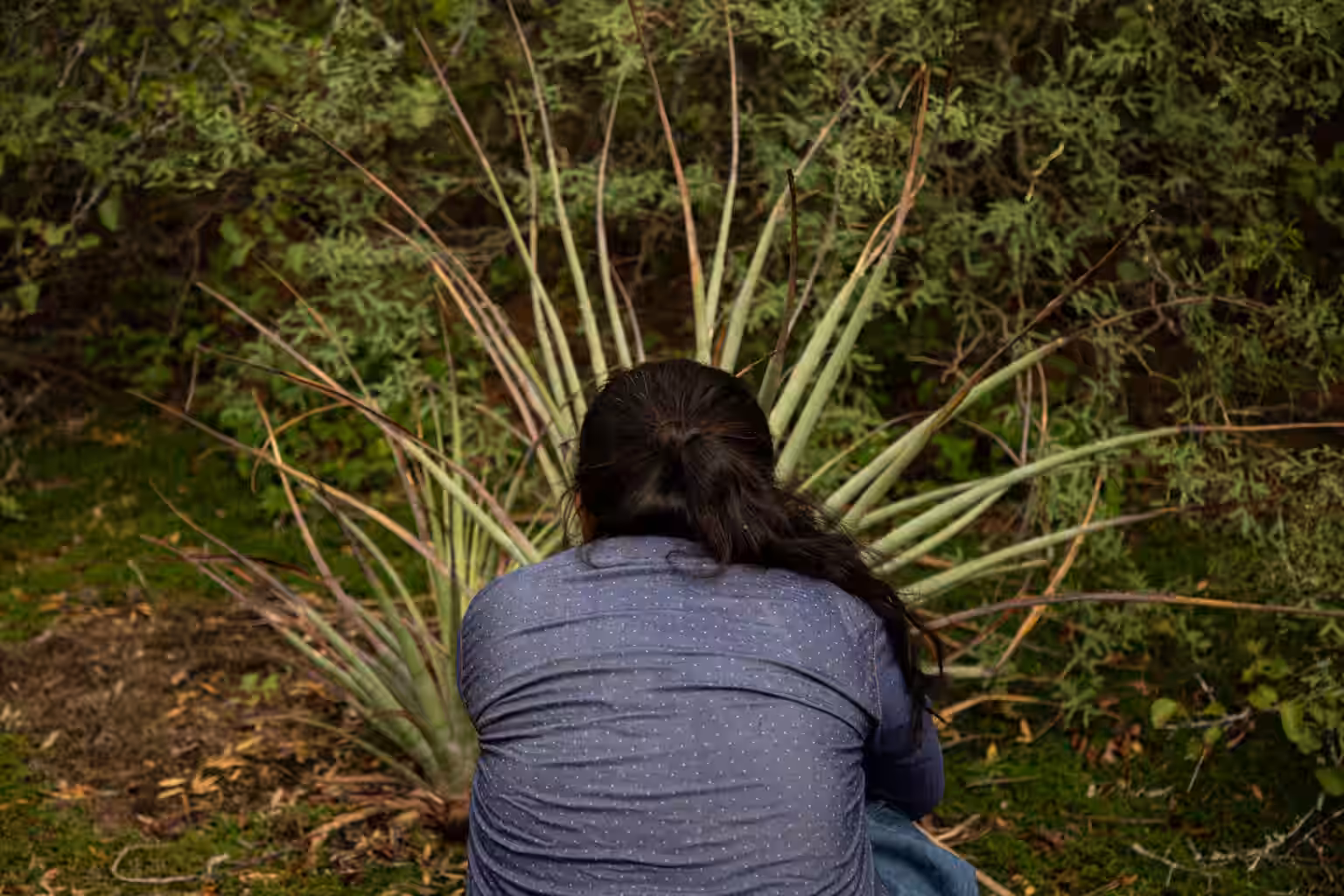 Imagen de La Nota Tucumán