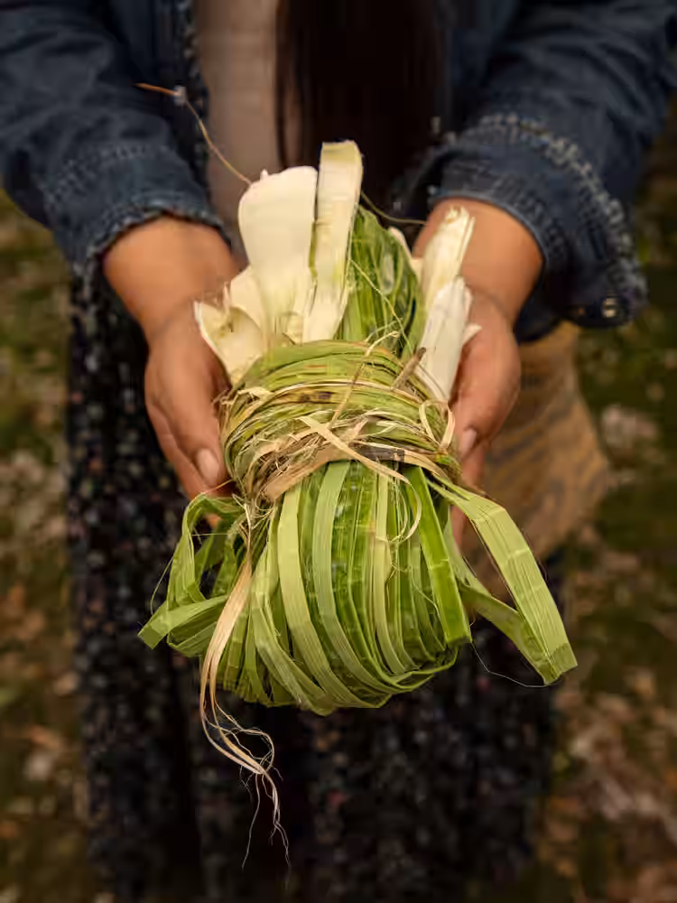 Imagen de La Nota Tucumán