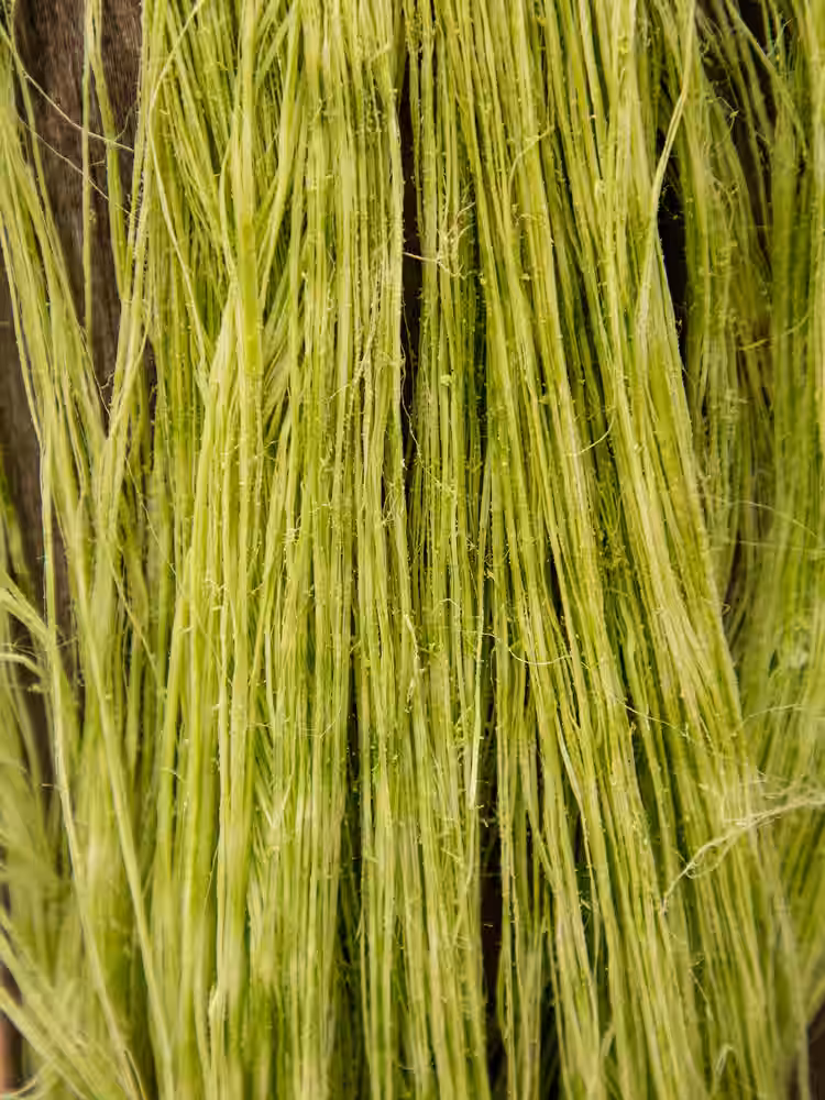 Imagen de La Nota Tucumán